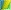 Lemon/Lime/Azure
