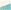 White Gold/Carribean Green