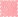 Bright Coral