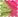 Hot Pink/Lime