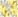 Light Grey/Yellow