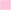 Pink Rose