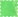 Kelly Green Paisley