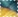Yellow/Indigo