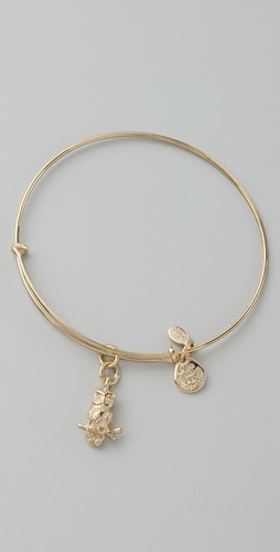 Alex And Ani Owl Expandable Bangle