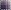 Blue Plaid Combo
