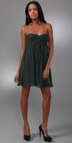 Haute Hippie Bustier Dress