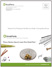 small parts 20 page brochure