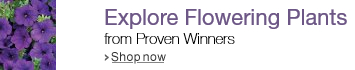 Shop Proven Winners Flowering Plants