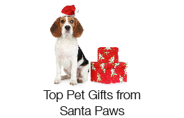Pets Gift Guide