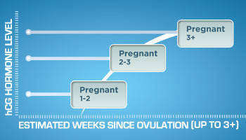 Estimated Weeks Calculator