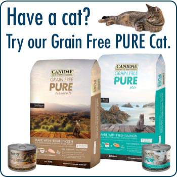 Grain Free PURE Cat Food