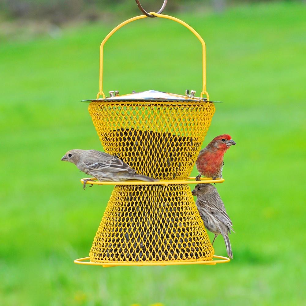 PerkyPet DSHG00387 No/No Designer Double Wild Bird Feeder