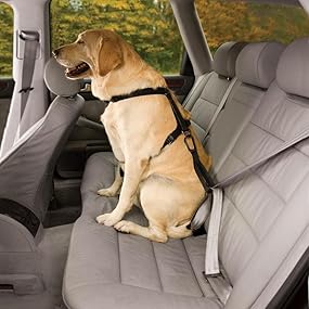 Crash-tested harness with nested buckles for true lasting strength.