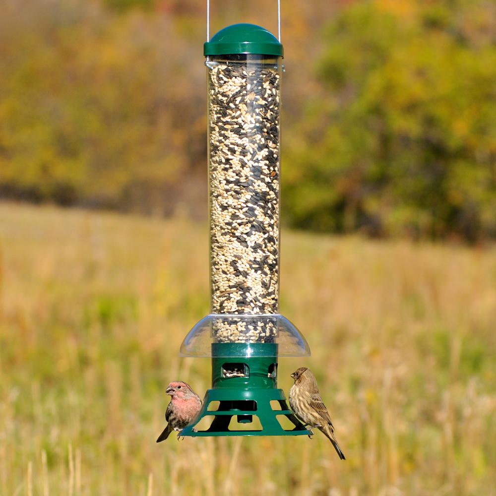 PerkyPet 51412 Squirrel Slammer Wild Bird Feeder Perky