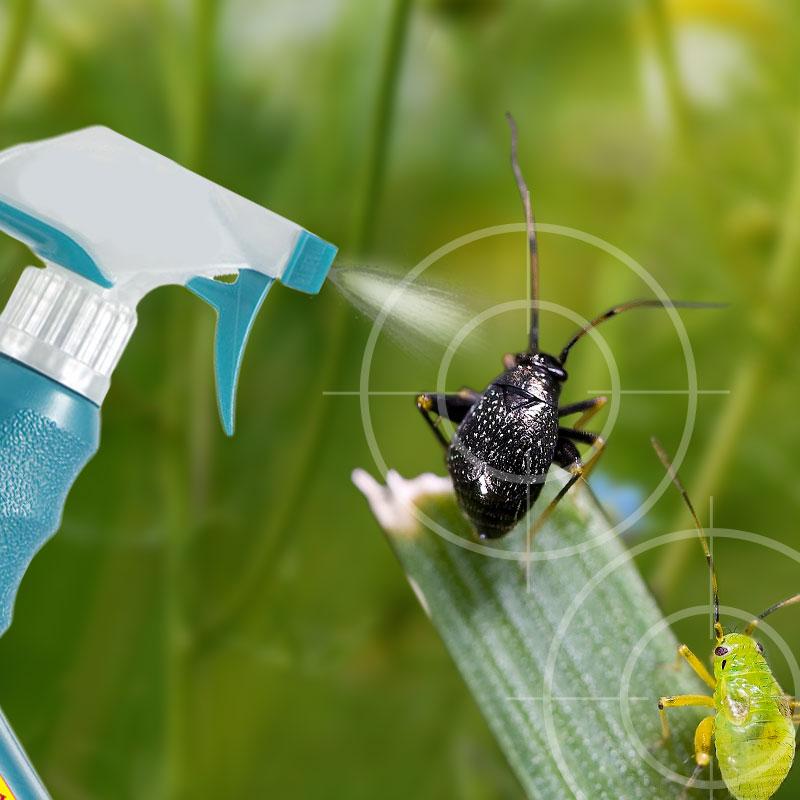 Amazon.com : Safer Brand Insect Killing Soap, 32 oz. : Pest ...