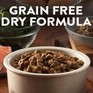 Wellness, Core, dry dog food, protein, protien, grain free, large breed, small breed, puppy