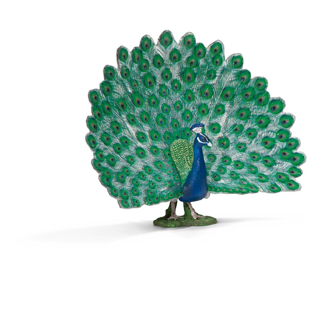 Peafowls are characterized by peacocks and their magnificent plumes