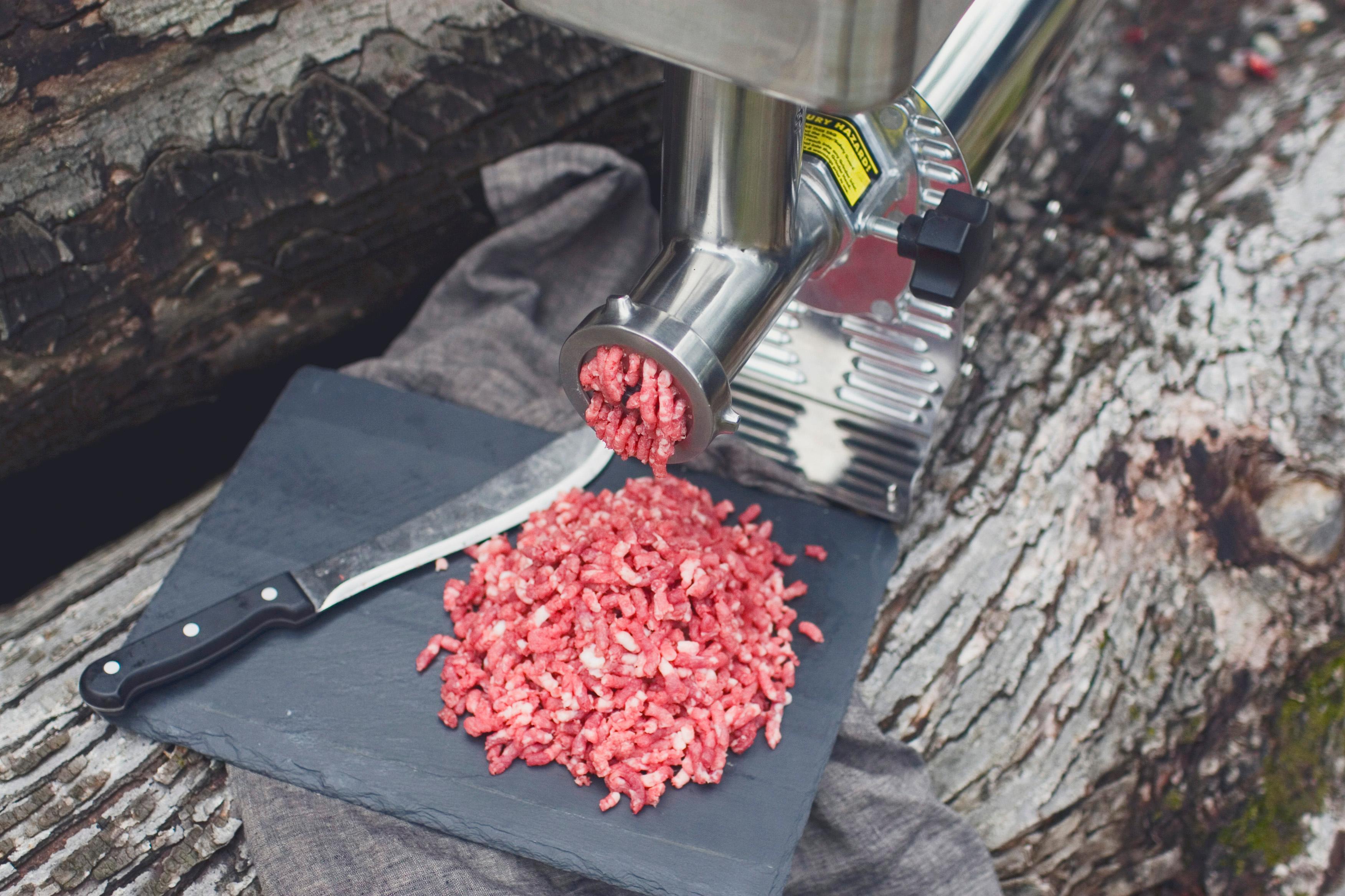 meat grinder best rated reviews sellers ultimate reviewed