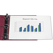 Panoramic Sheet Protectors