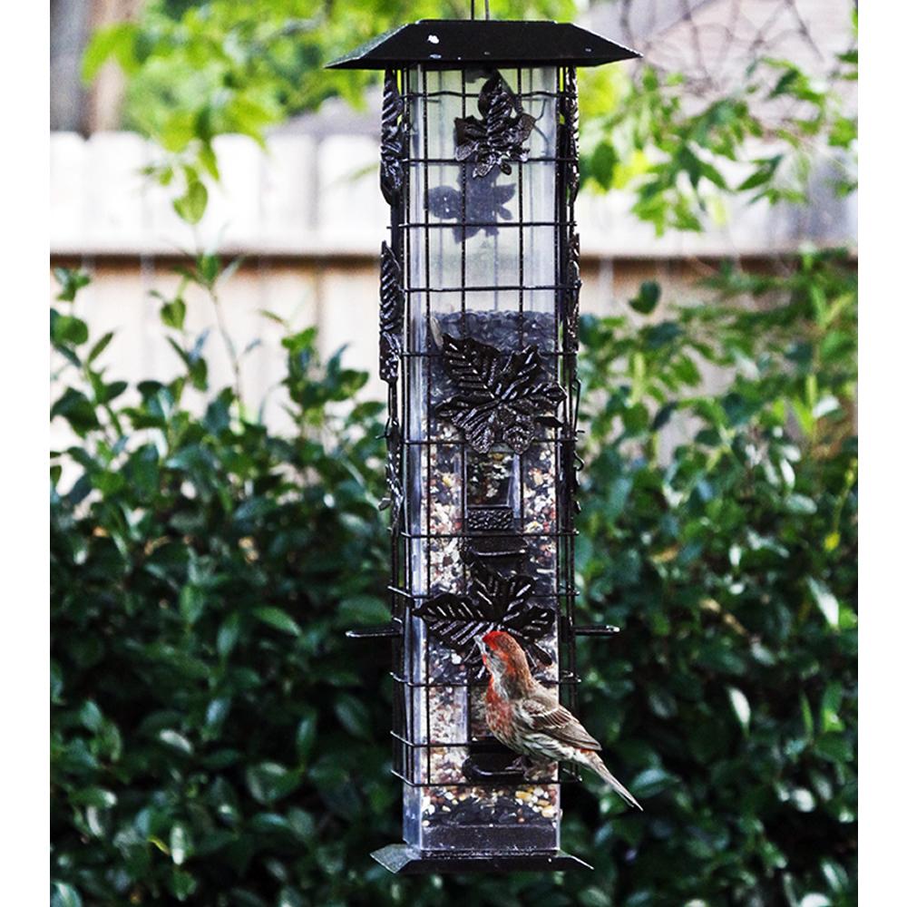 PerkyPet 336 SquirrelBeGone Wild Bird Feeder Patio, Lawn & Garden