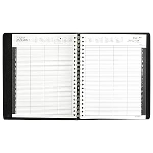 AT-A-GLANCE, appointment book, quarter hourly appointment book, daily planner, eight person appointm