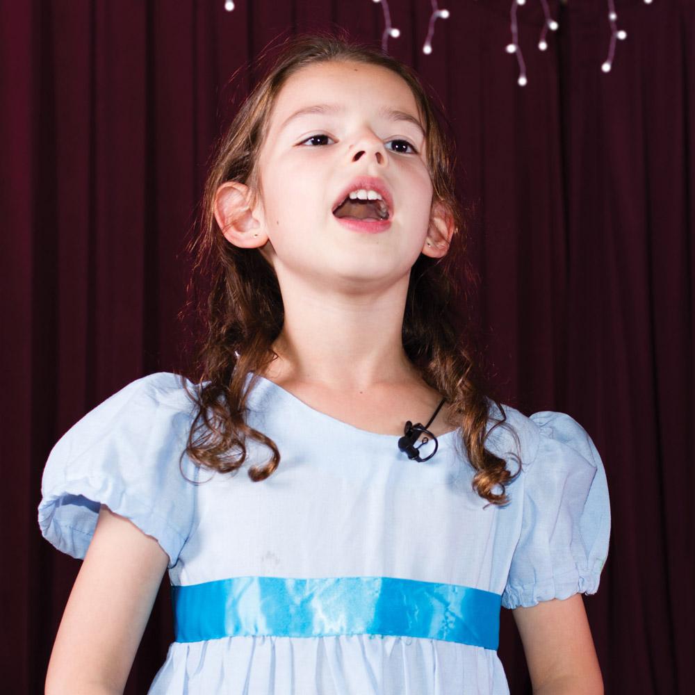 Sennheiser ClipMic digital Mobile Recording Microphone for iOS Devices Musical