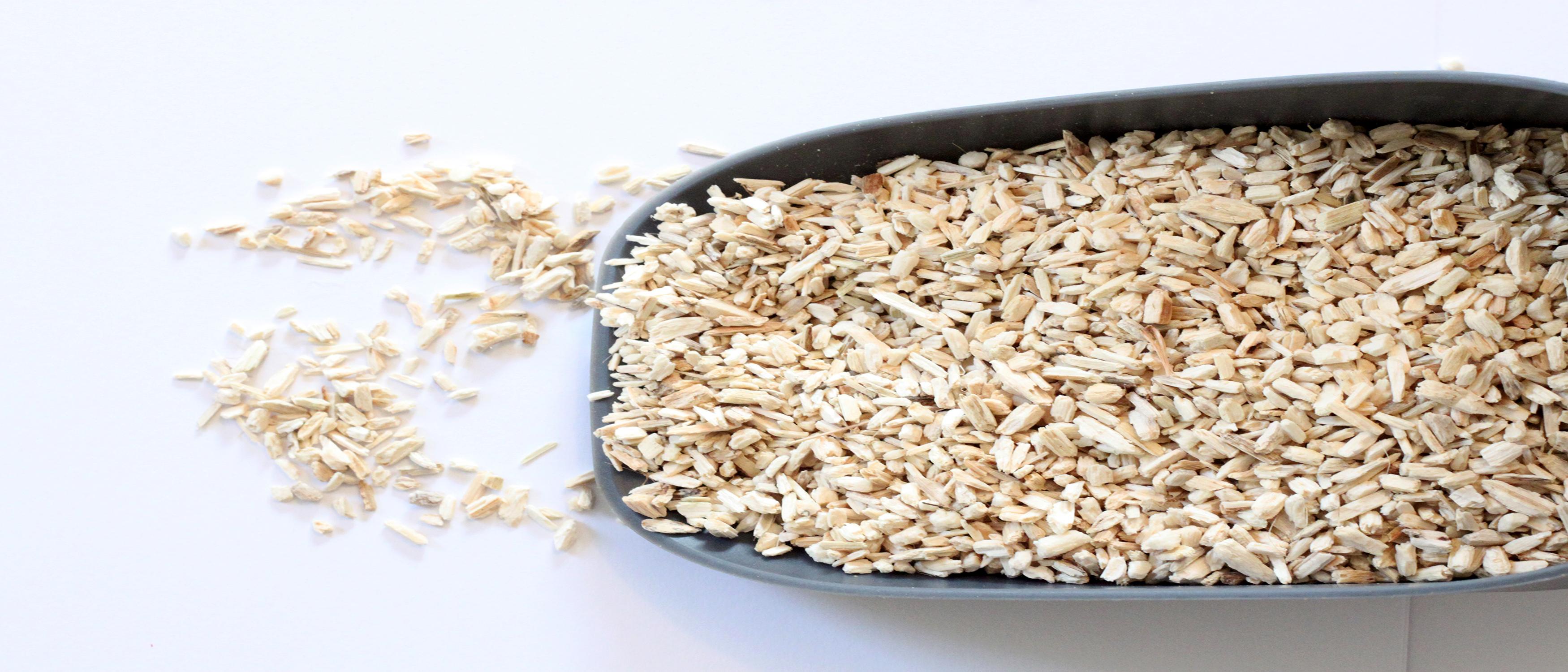 Dr. Hemp All Natural Pet Bedding Bag, 8Quart Pet Supplies