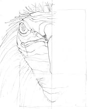 ostrich, creature features, sketch