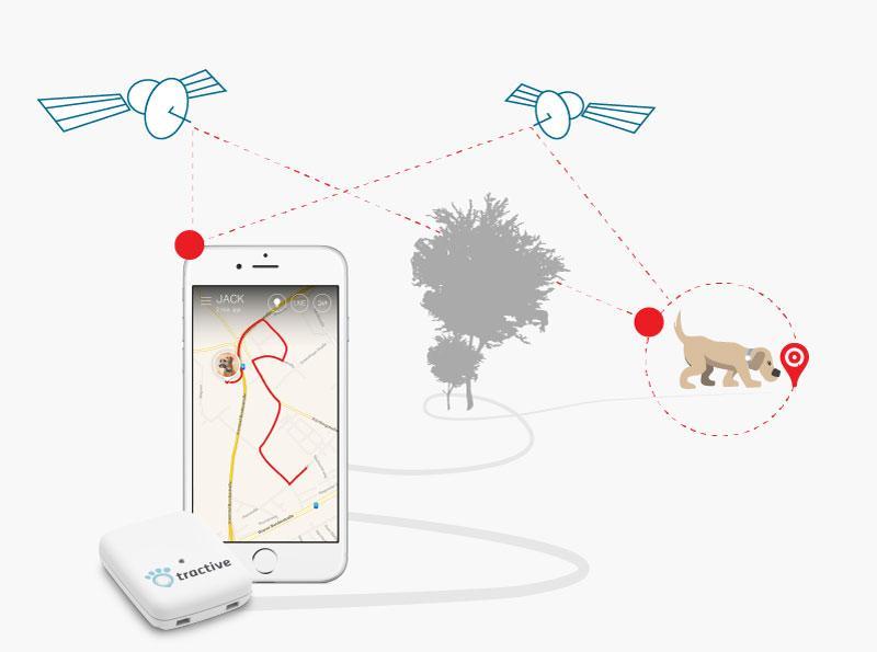 Tractive GPS Pet Tracker, 2.0 by 1.6 by 0.6Inch Pet
