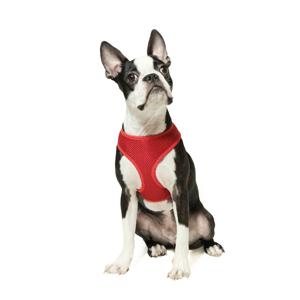 gooby freedom dog harness