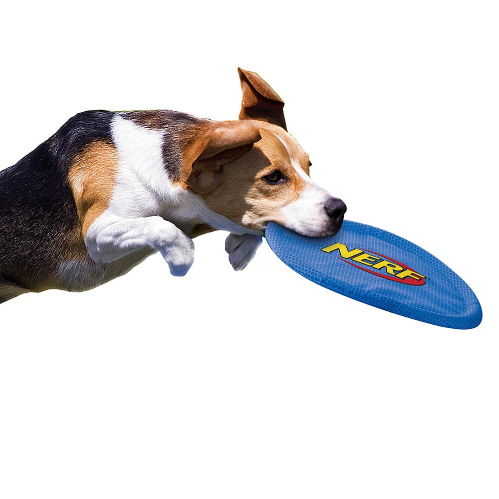 Nerf Dog Nylon Flying Disk Dog Toy, Large, Red Pet