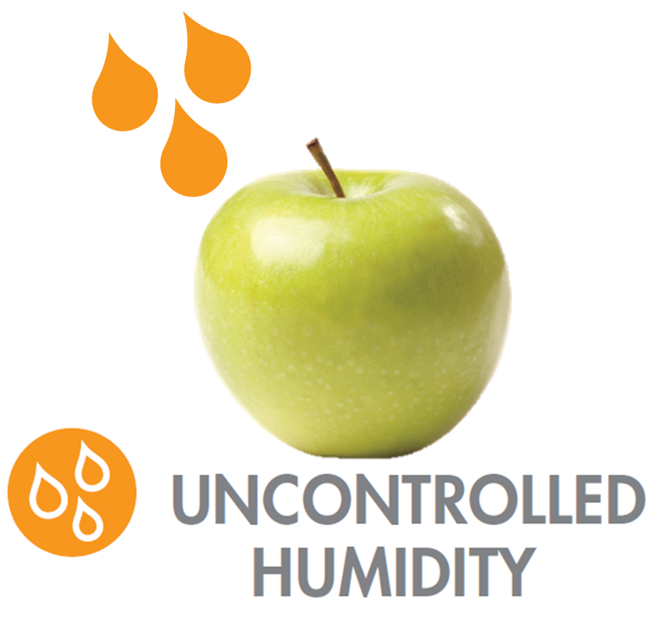 OXO Good Grips GreenSaver Produce Keeper Medium Kitchen & Dining