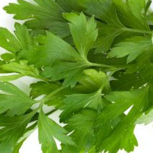 Parsley