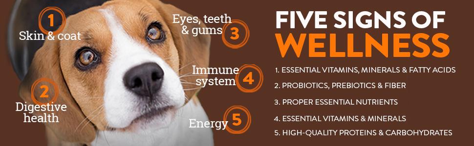 Best dog food, gluten free dog food, gluten-free dog food, high protein dog food, grain-free, CORE