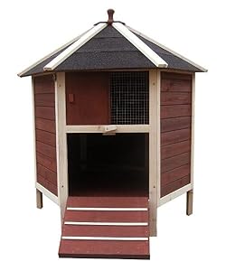 access door and ramp access door and ramp makes it easy for chickens ...