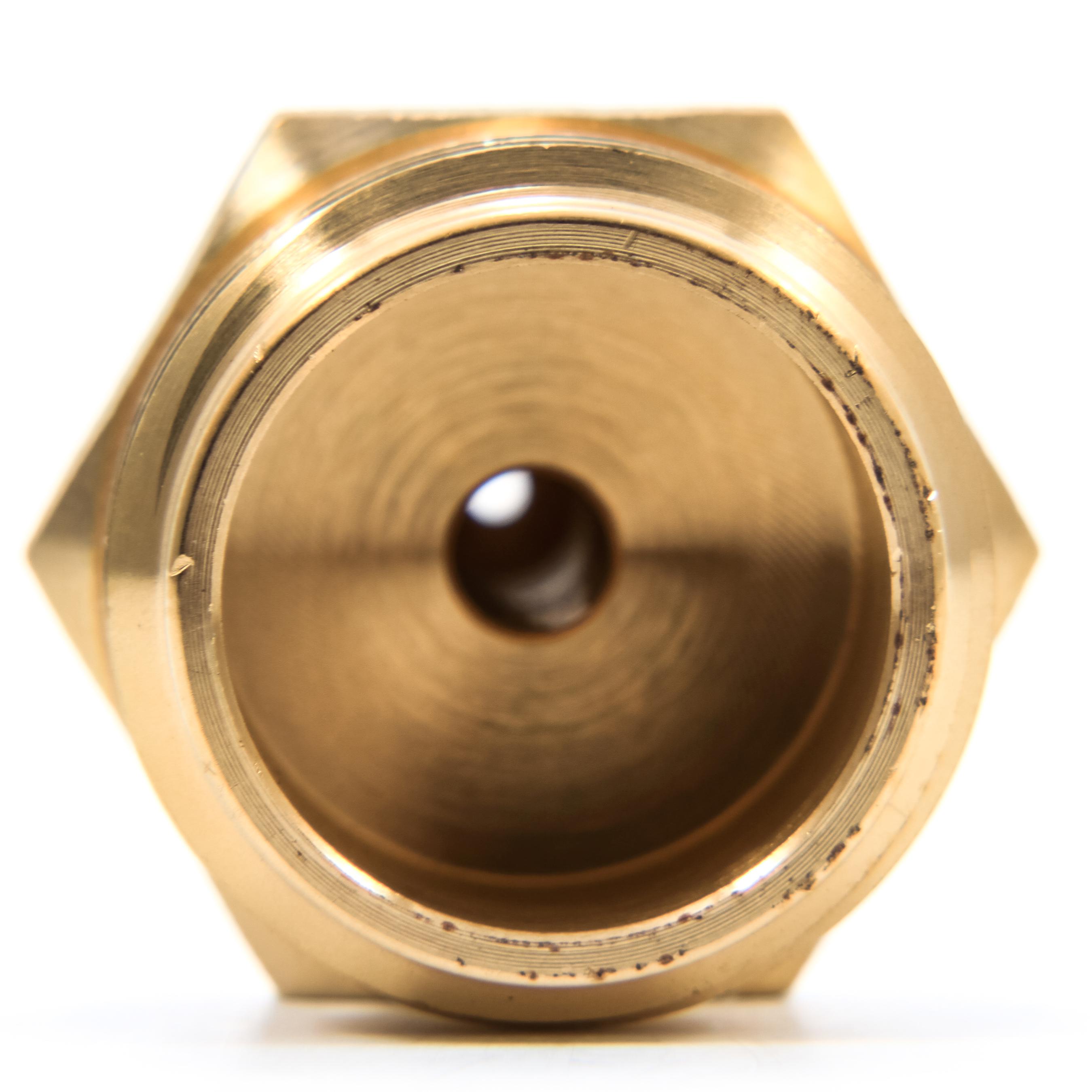 Camco 36143 Blow Out Plug with Brass Quick Connect Automotive