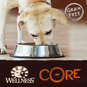 grain free dog food, grain-free dog food, 100% natural, all natural, best dog food, no soy, no corn