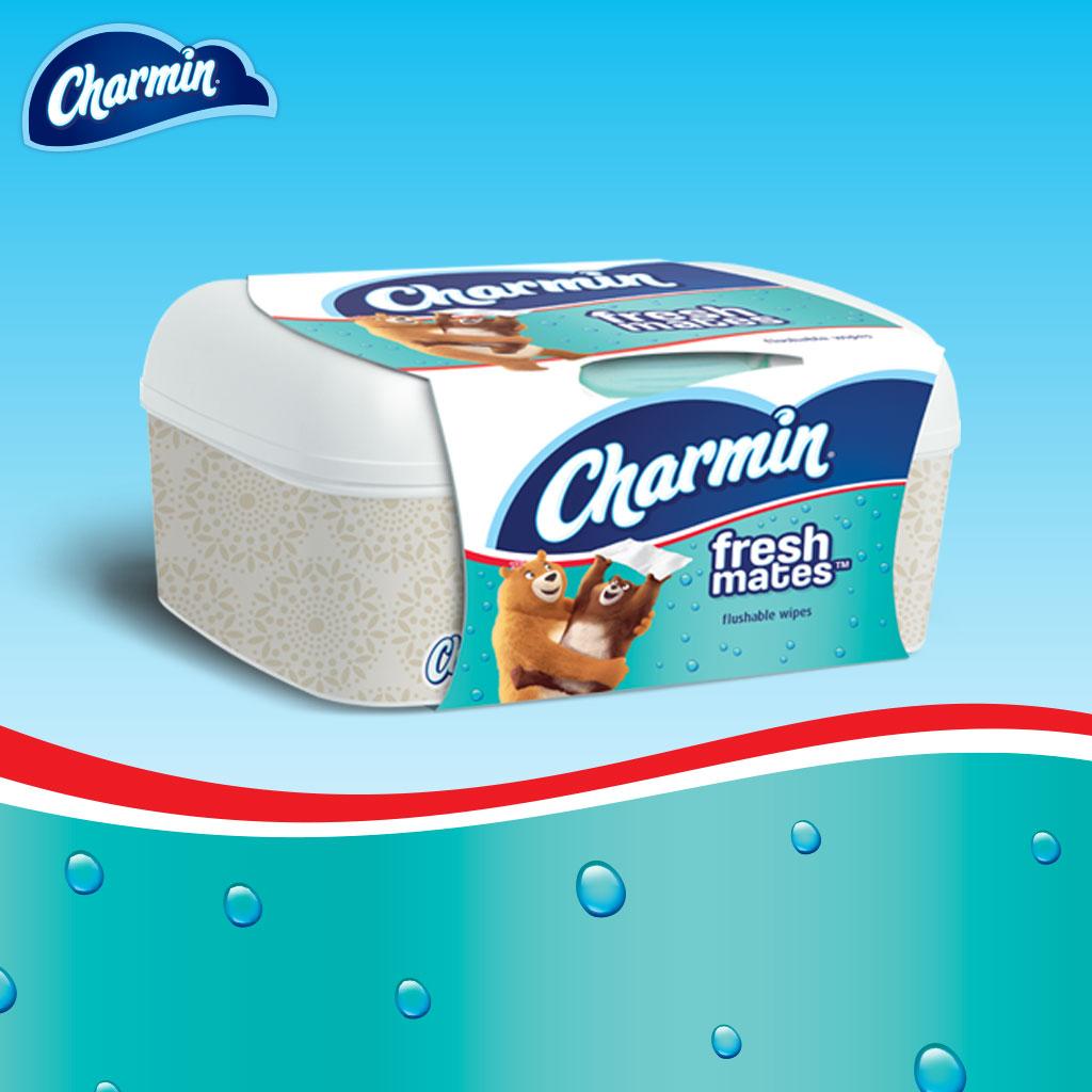 Charmin Freshmates Flushable Wipes, 120 Count (Pack of 8