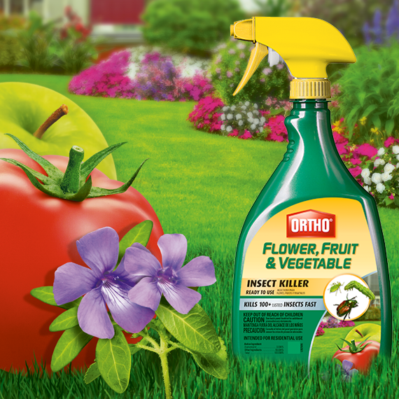 Ortho Flower, Fruit and Vegetable Insect Killer, 32Ounce