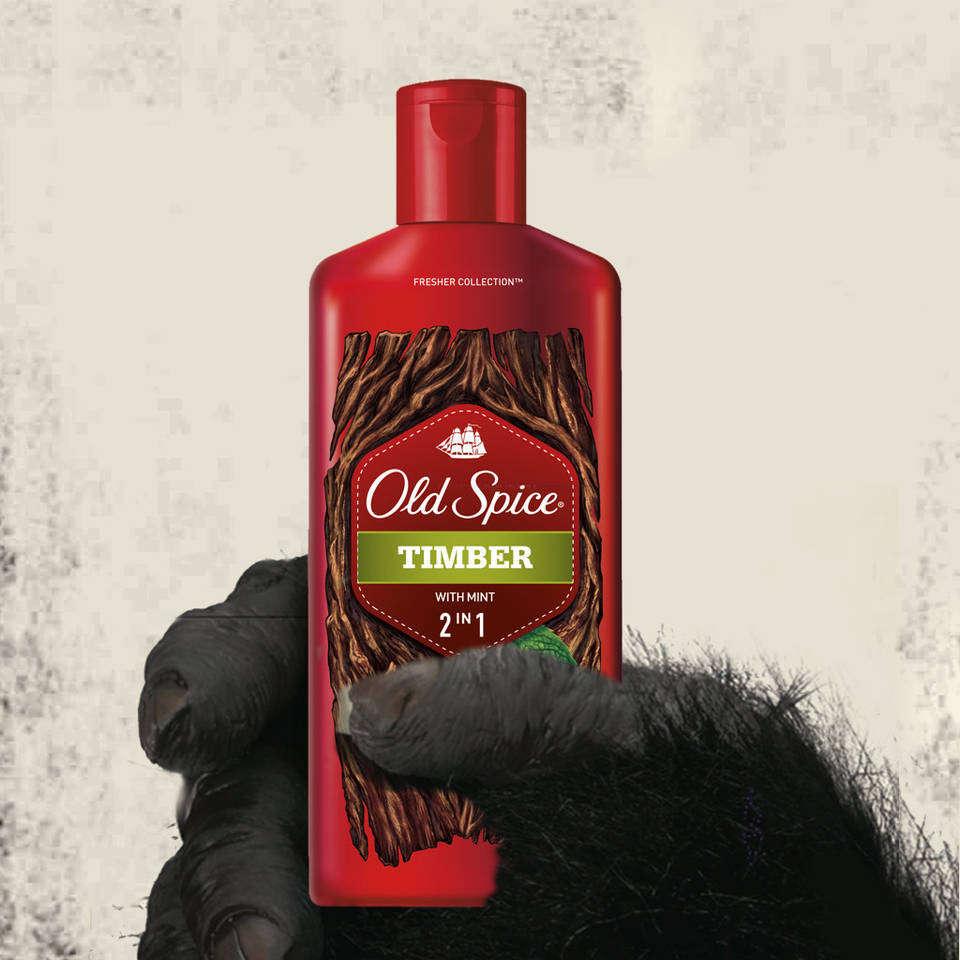 Amazon.com : Old Spice Timber with Mint 2-in-1 Shampoo and Conditioner ...