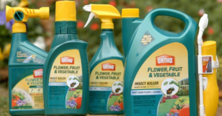 korean ethnic clothing