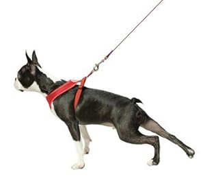 choke free gooby dog harness