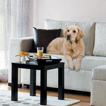 air purifier, purifier, purify, allergy, allergies, large room air purifier