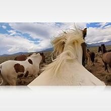 4K30. 4x the resolution of 1080p.