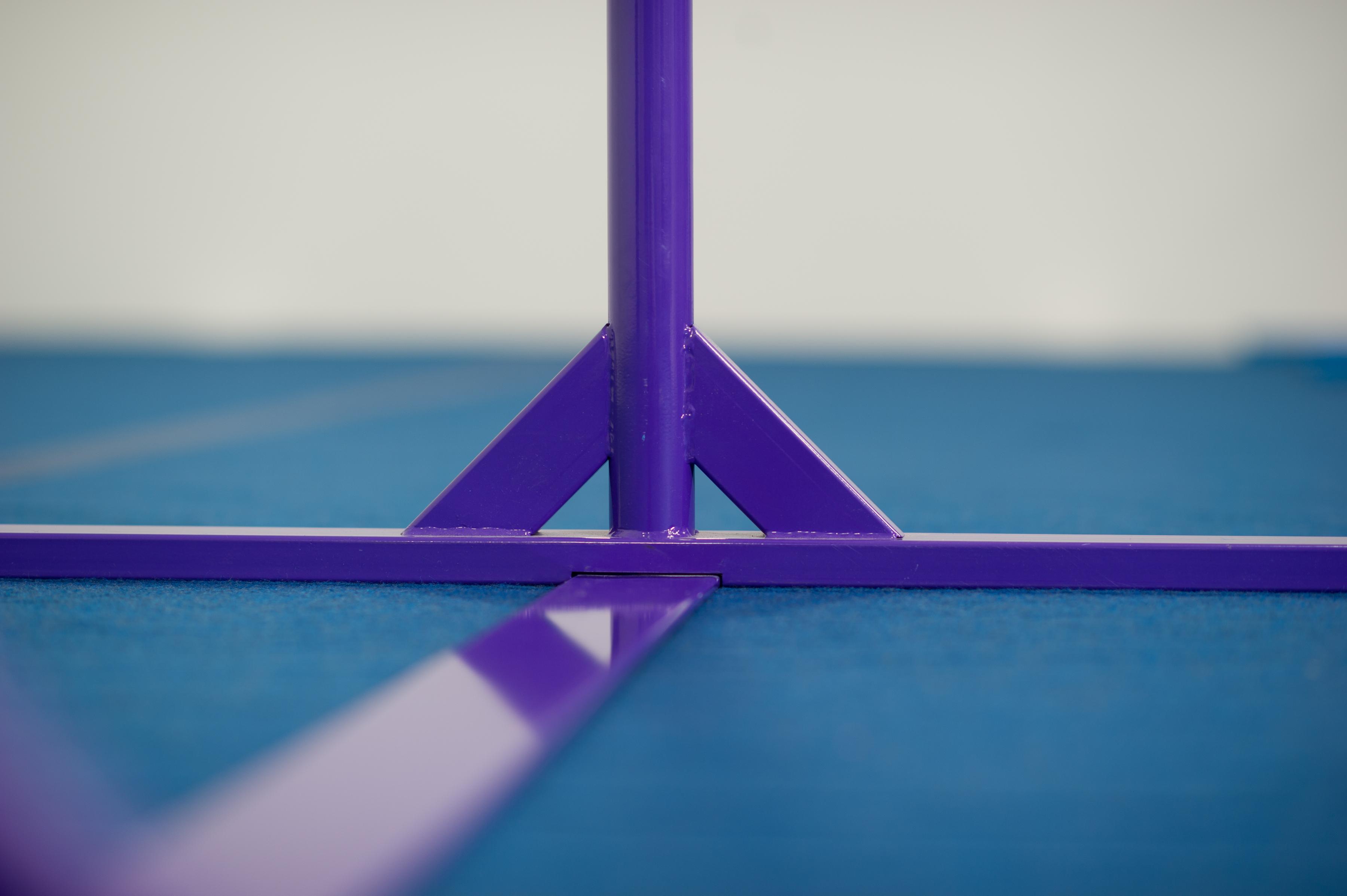 Tumbl Trak Junior Purple Kip Bar Gymnastics Asymmetric