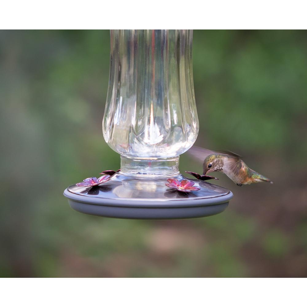 Perky Pet 81322 Starglow Vintage Glass Hummingbird Feeder