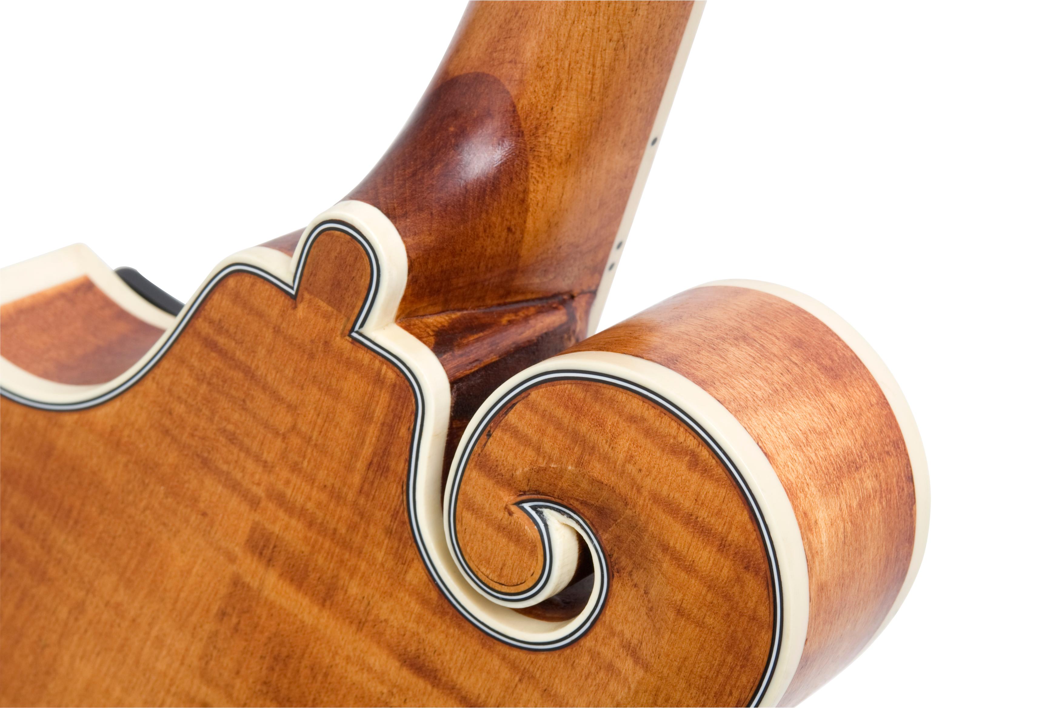 Epiphone MM50E Professional Acoustic / Electric "FStyle