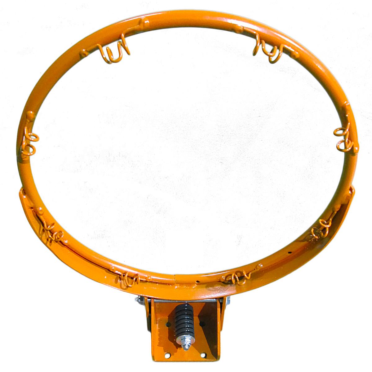 mini hoop rim, tekk basketball, Nate Robinson basketball hoop