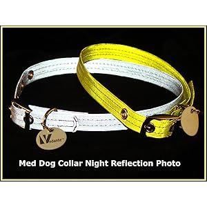 reflective, dog collar, metallic gold, metallic silver